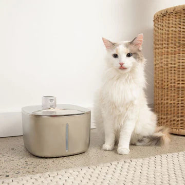 Tranquil Beauty™ Wireless Pet Water Fountain