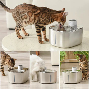 Tranquil Beauty™ Wireless Pet Water Fountain