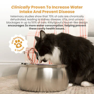 Tranquil Beauty™ Automatic Cat Water Fountain