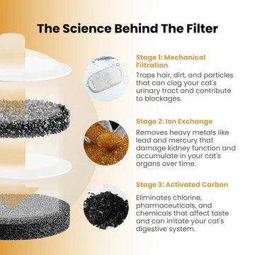 Tranquil Beauty™ Automatic Cat Water Fountain