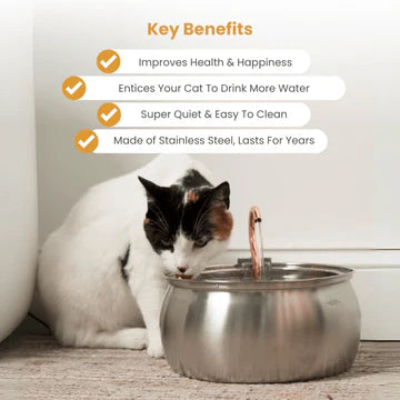 Tranquil Beauty™ Automatic Cat Water Fountain